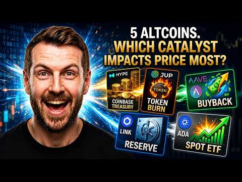  Price Impact or Network Hype? We Tested 5 Top Altcoins