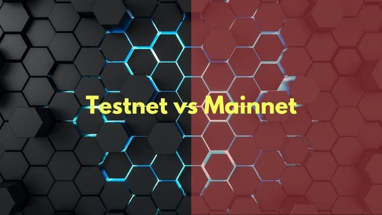 mainnet vs testnet