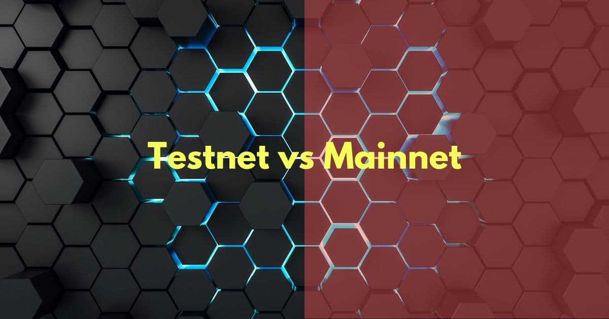 mainnet vs testnet