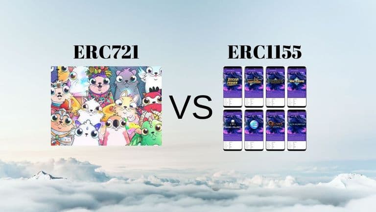 ERC721vsERC1155.jpg