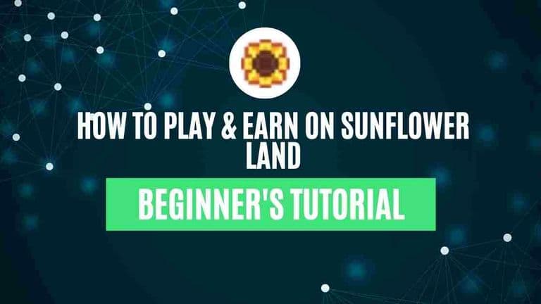Guides-Tutorials-1.jpg