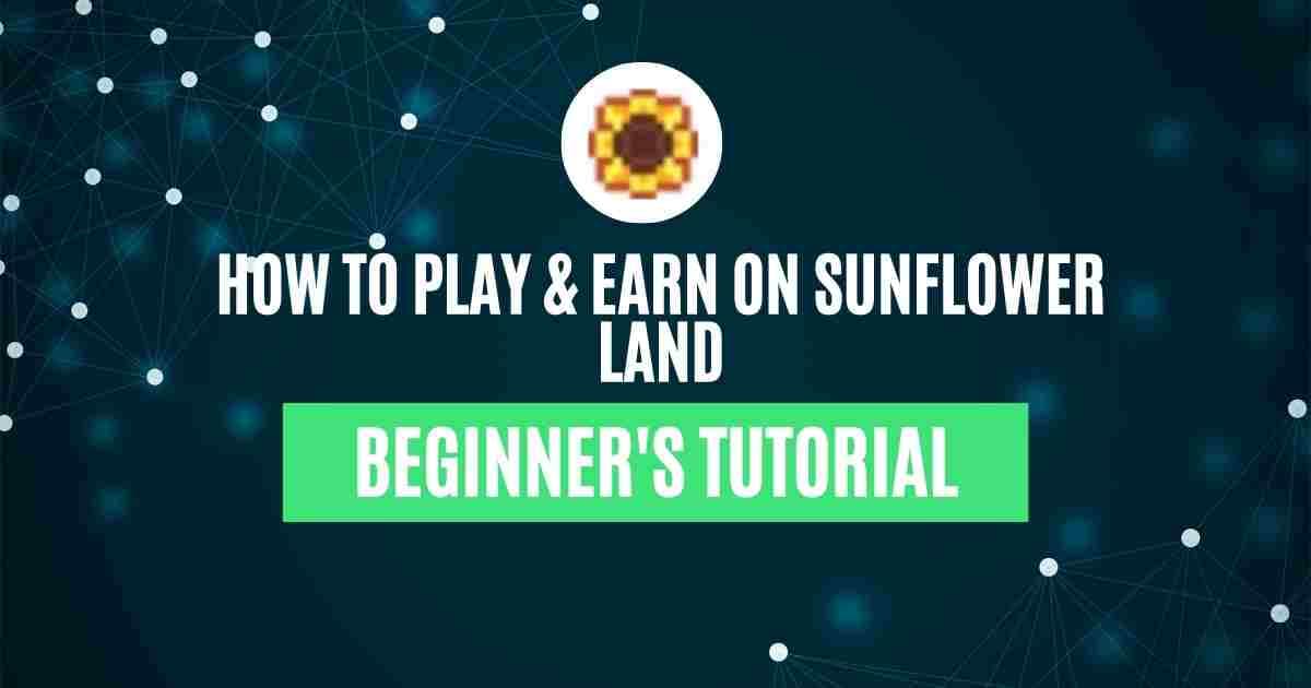 Guides-Tutorials-1.jpg