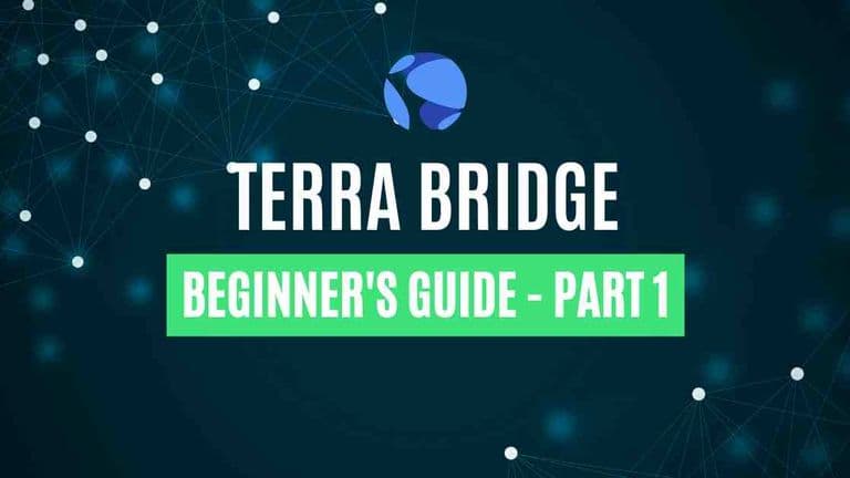 terra bridge guide