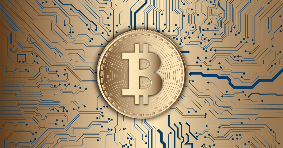 How Many Bitcoins to Join the Top 1% of Bitcoiners?