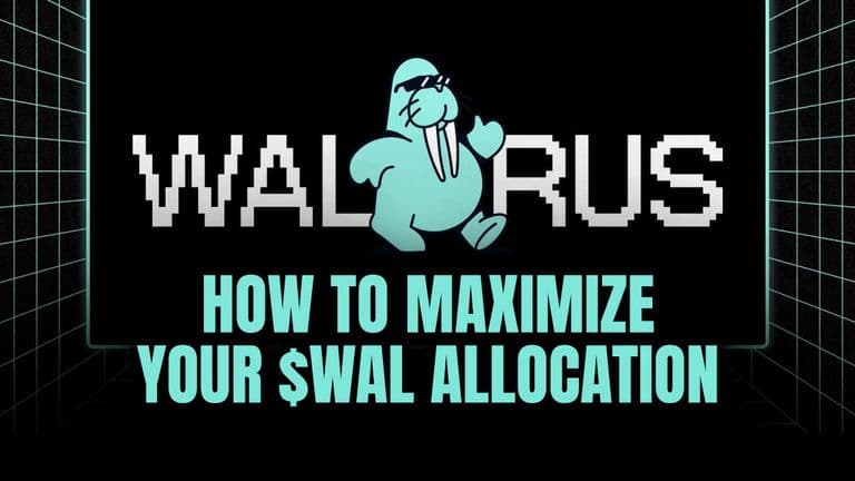 Walrus