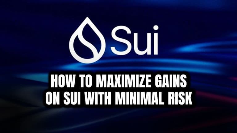 How to Maximize Gains on Sui with Minimal Risk