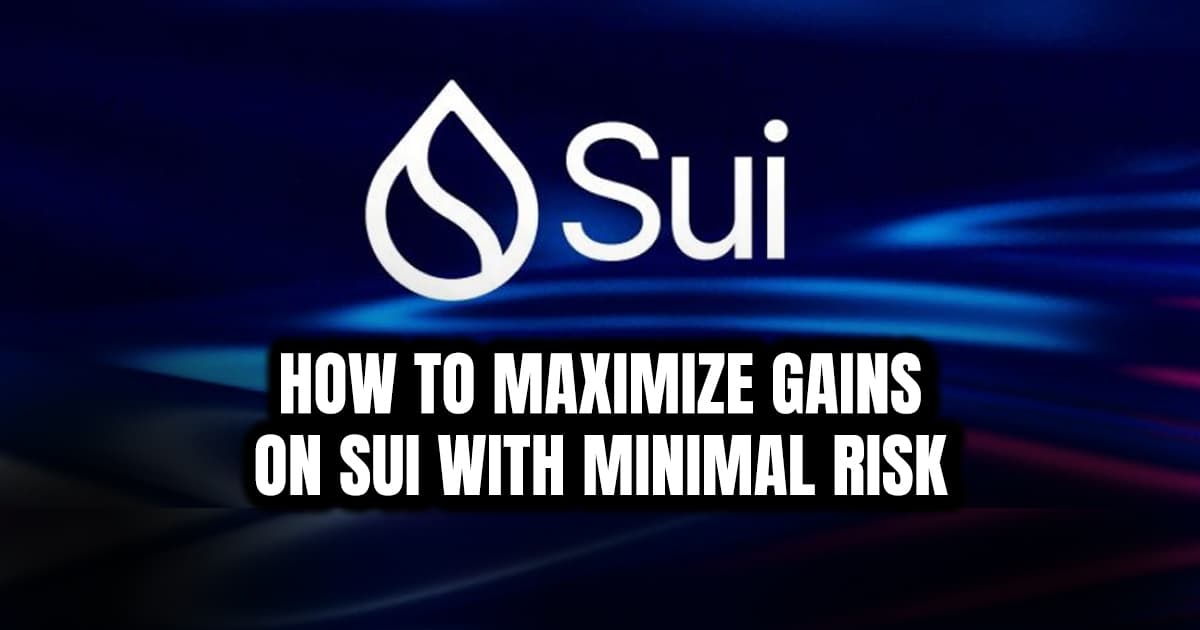 How to Maximize Gains on Sui with Minimal Risk