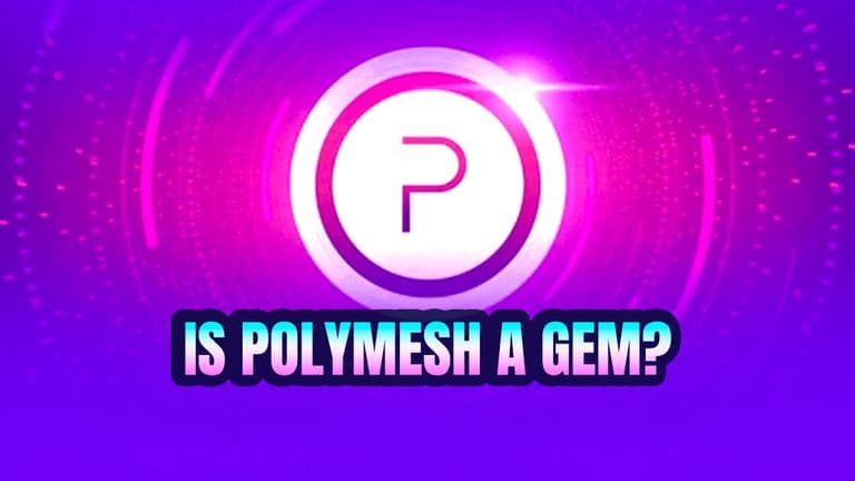 Web_Is-Polymesh-A-Gem-.jpg