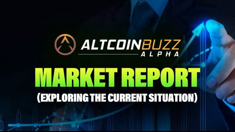Market Report (Exploring the current situation)