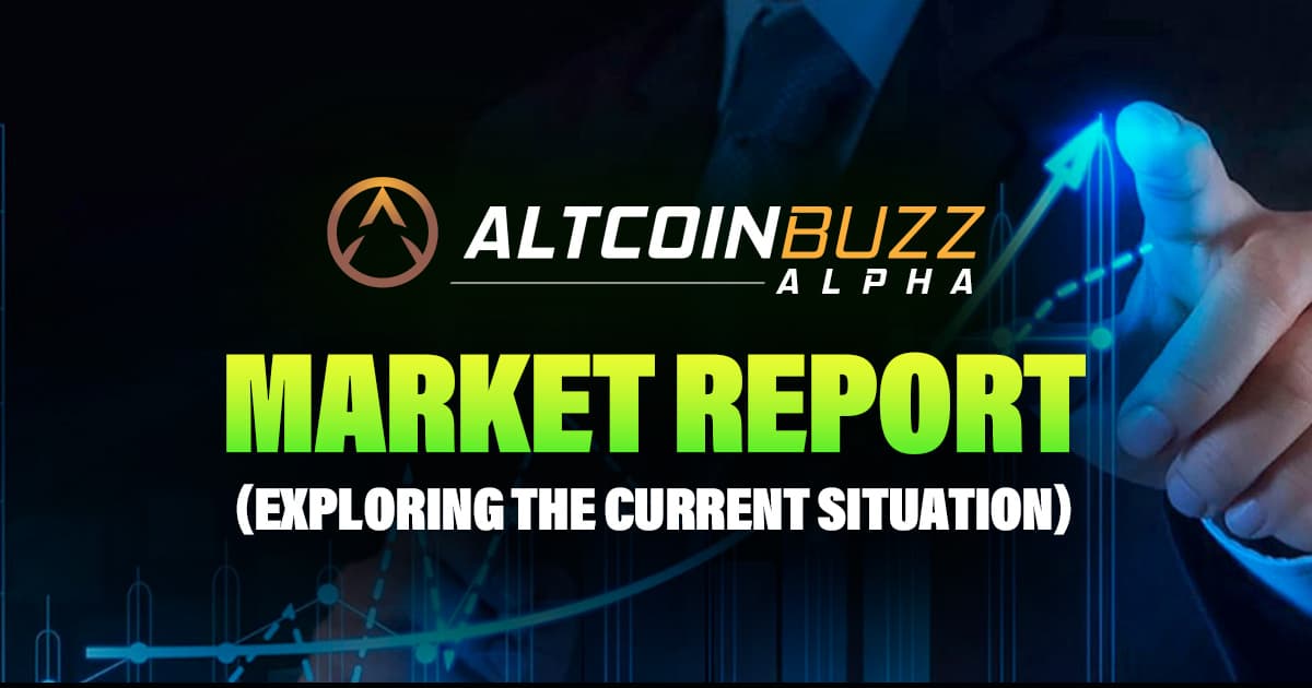 Market Report (Exploring the current situation)
