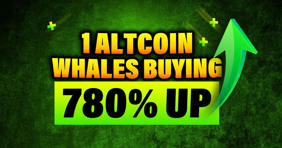 Why Crypto Whales Are Buying This Undervalued Altcoin - Clearpool CPOOL Pump
