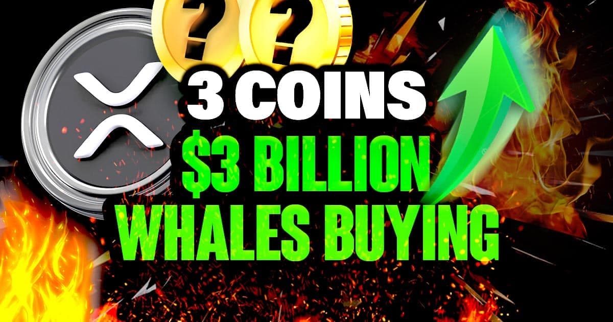 Crypto Whales Are Buying These 3 Altcoins Ahead of Alt Season