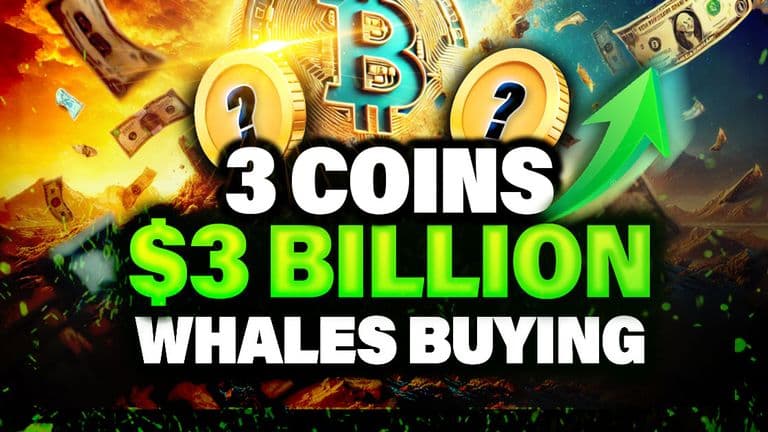 Whales Buying the Dip | 2 Altcoins in Focus