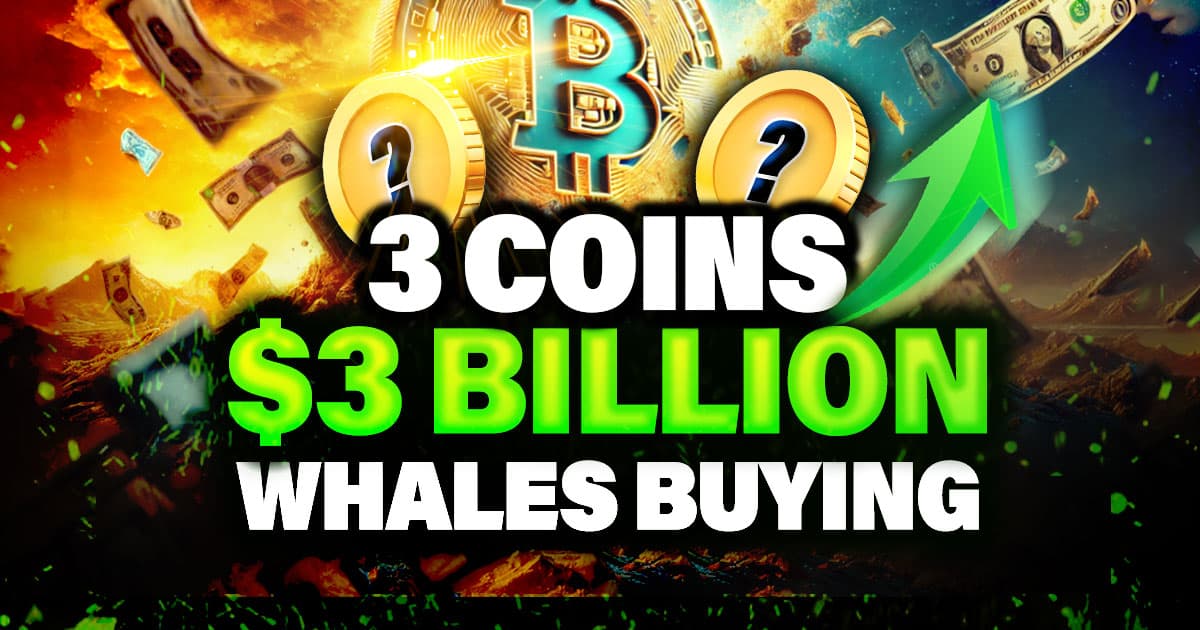 Whales Buying the Dip | 2 Altcoins in Focus