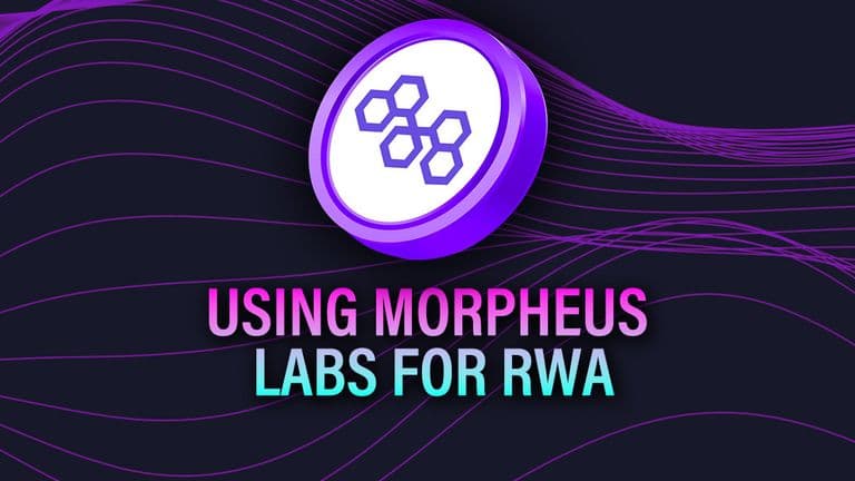 Web_Using-Morpheus-_Labs-for-RWA-1.jpg