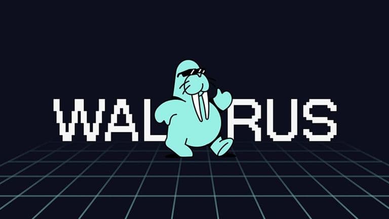 Web_Walrus.jpg