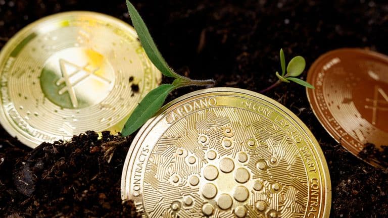 Cardano Launched Plomin Hard Fork for Governance