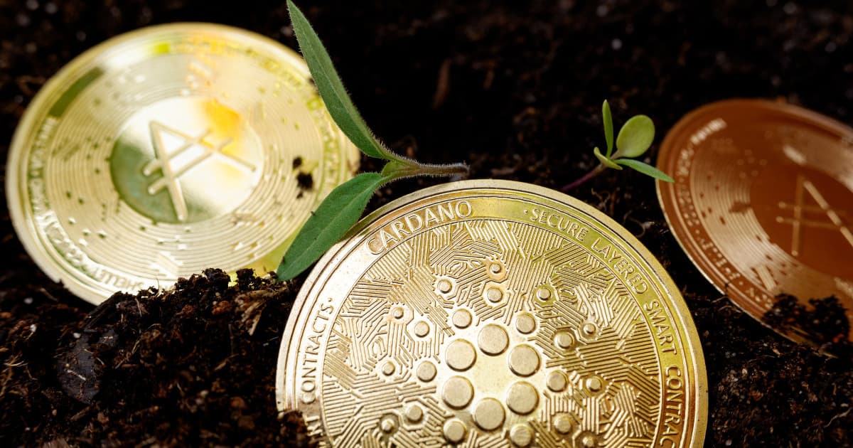 Cardano Launched Plomin Hard Fork for Governance