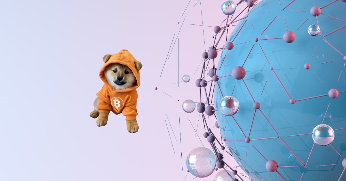 $DOG to Launch on Slingshot in Solana on February 19th