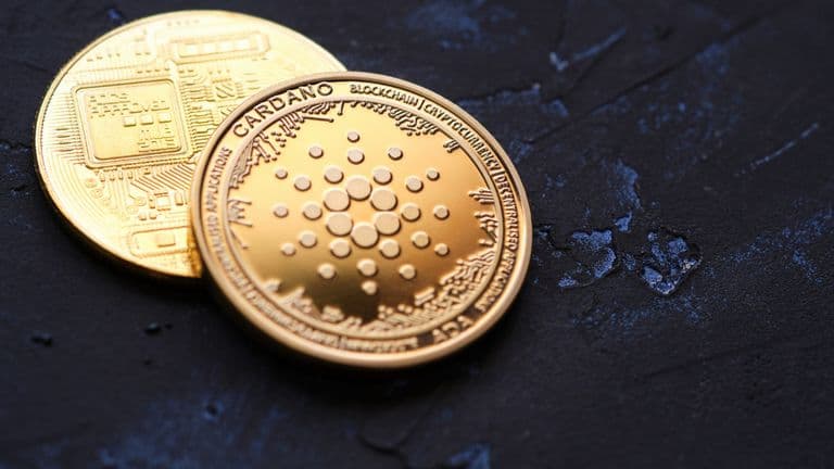 bitcoin__altcoin__-_2025-04-25T162420.894.jpg