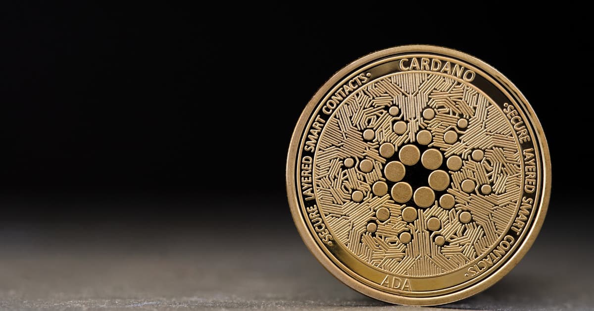 bitcoin__altcoin__-_2025-07-18T163455.466.jpg