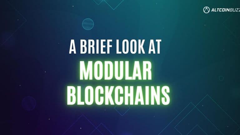 A Brief Look at Modular Blockchains