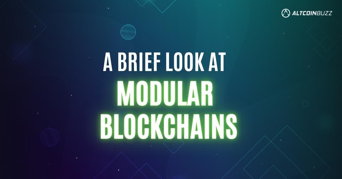 A Brief Look at Modular Blockchains