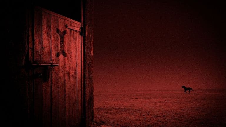 A bolted wooden stable door with the Initia mark stands shut while a small horse gallops away into the darkness.