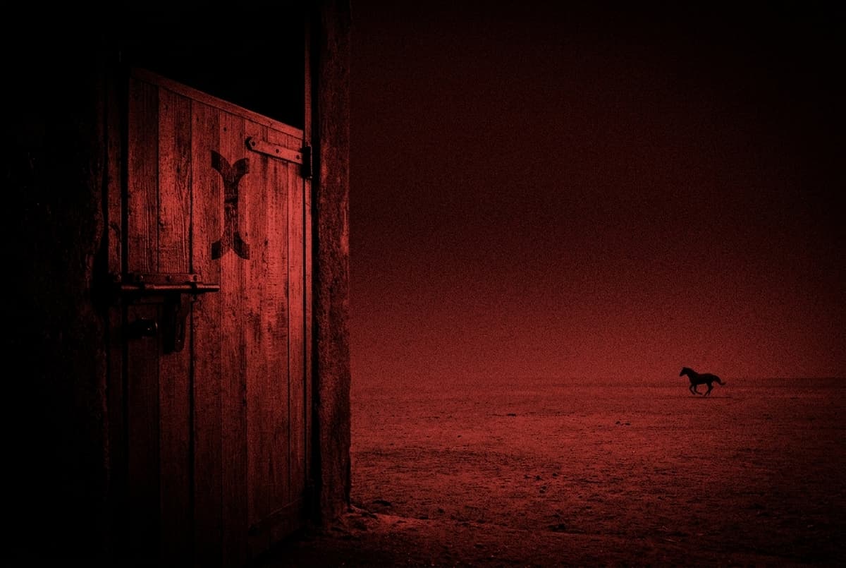 A bolted wooden stable door with the Initia mark stands shut while a small horse gallops away into the darkness.