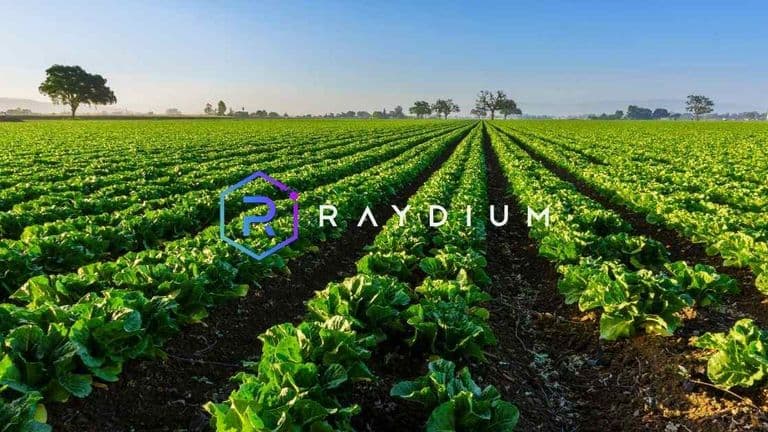 How to Farm and Stake Into the Raydium Platform