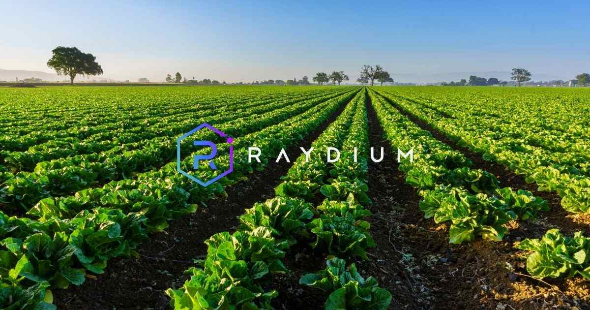 How to Farm and Stake Into the Raydium Platform