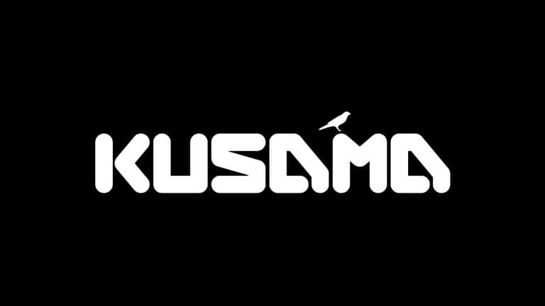 How to Participate in Kusama Parachain Auctions