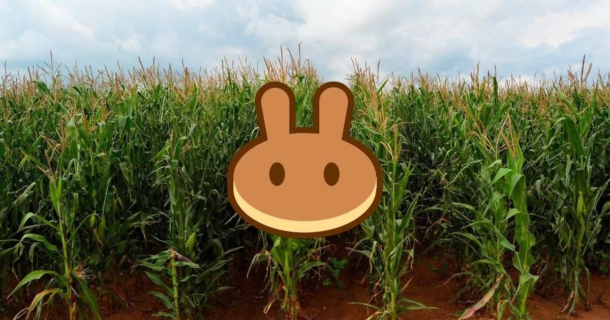How to Do PancakeSwap Farming