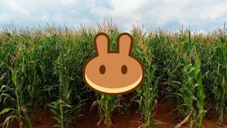 How to Do PancakeSwap Farming