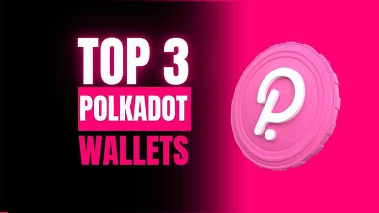 Top 3 Polkadot Wallets