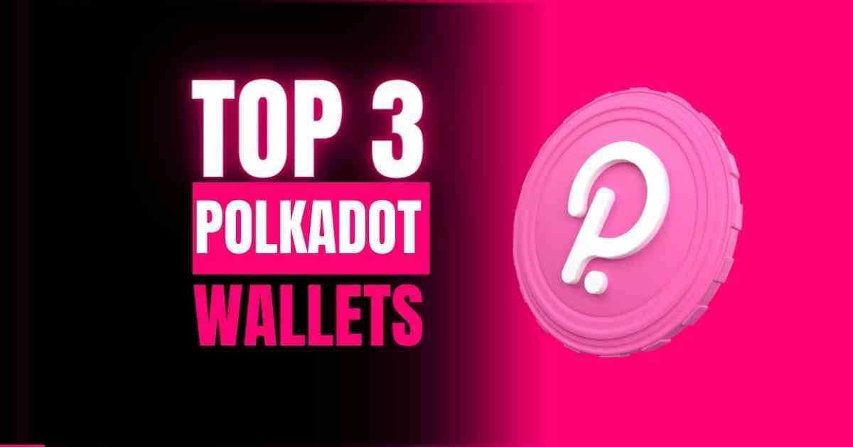 Top 3 Polkadot Wallets