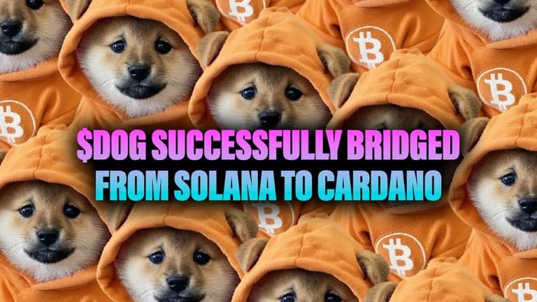 $DOG Successfully Bridged from Solana to Cardano