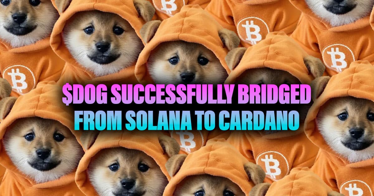 $DOG Successfully Bridged from Solana to Cardano