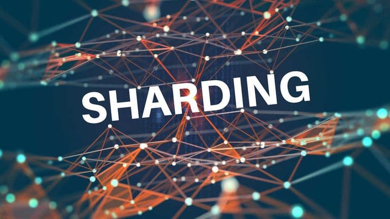 what-is-sharding-blockchain-technology-altcoin-buzz-72_opt.jpg
