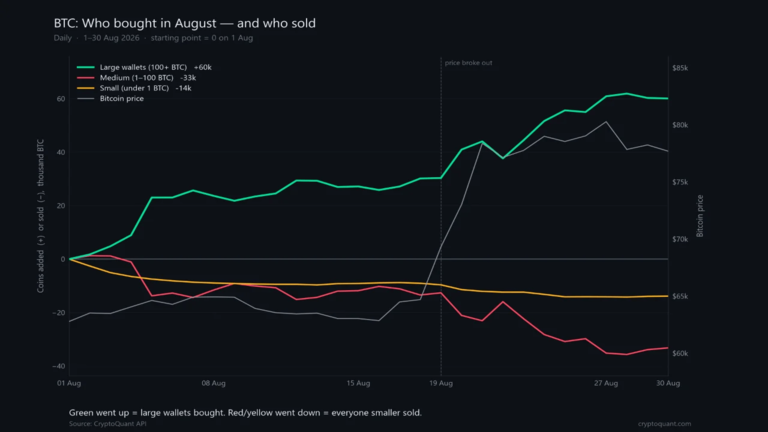 Bitcoin accumulation data by wallet cohort