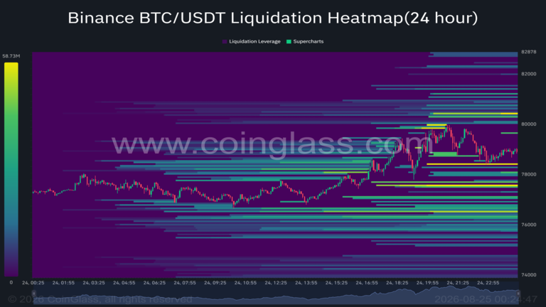 BTC Liquidation Heatmap August 24