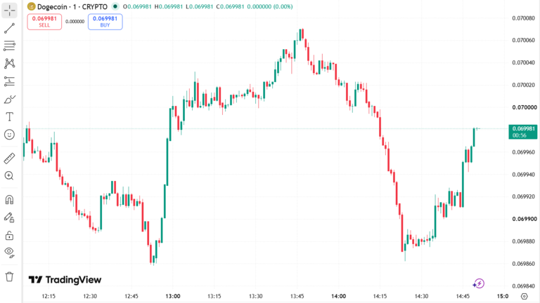 Doge Coin Price Prediction August 15