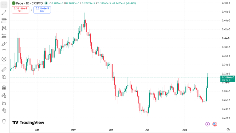 PEPE Price Chart August 20