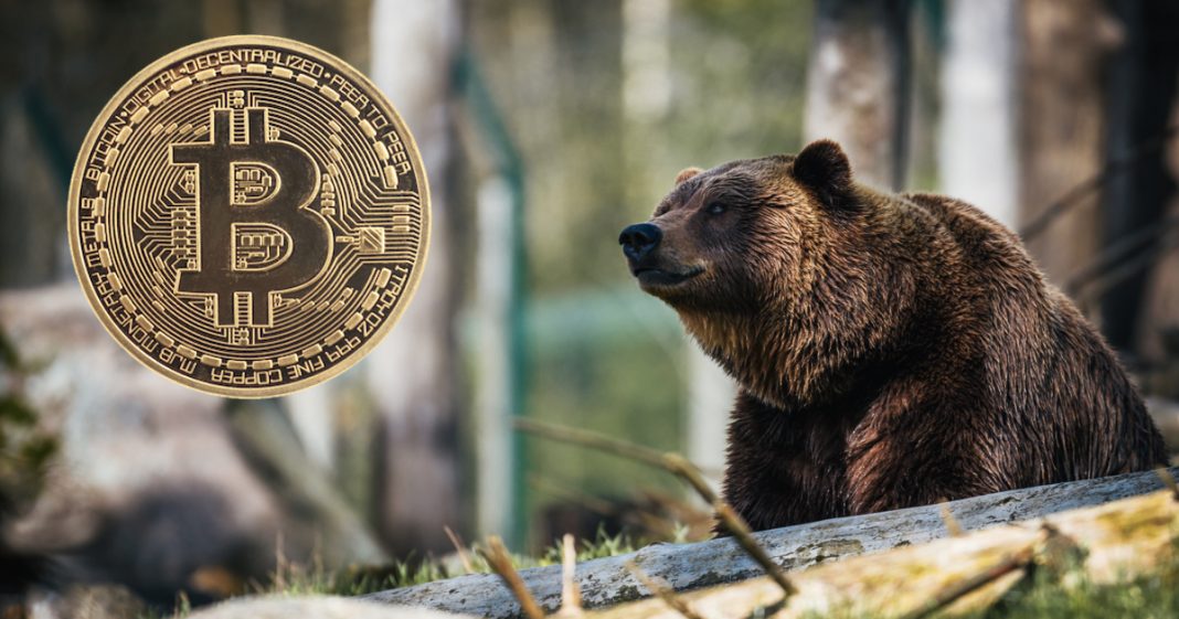 how long did the last crypto bear market last