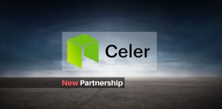 Celer-Network- Neo
