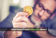 Read about what experts make of crypto adoption