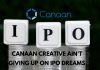 China’s Canaan Creative Isn't Giving Up on IPO Dreams