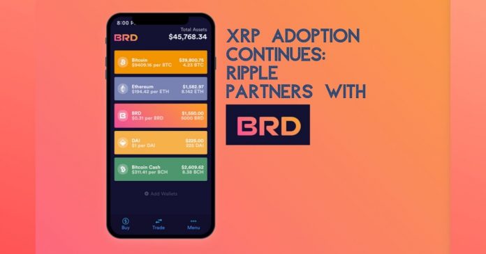 XRP adoption