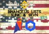 binance us lists chainlink link token and raven coin