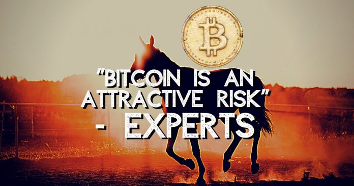 Experts Call Bitcoin An “Attractive Risk”